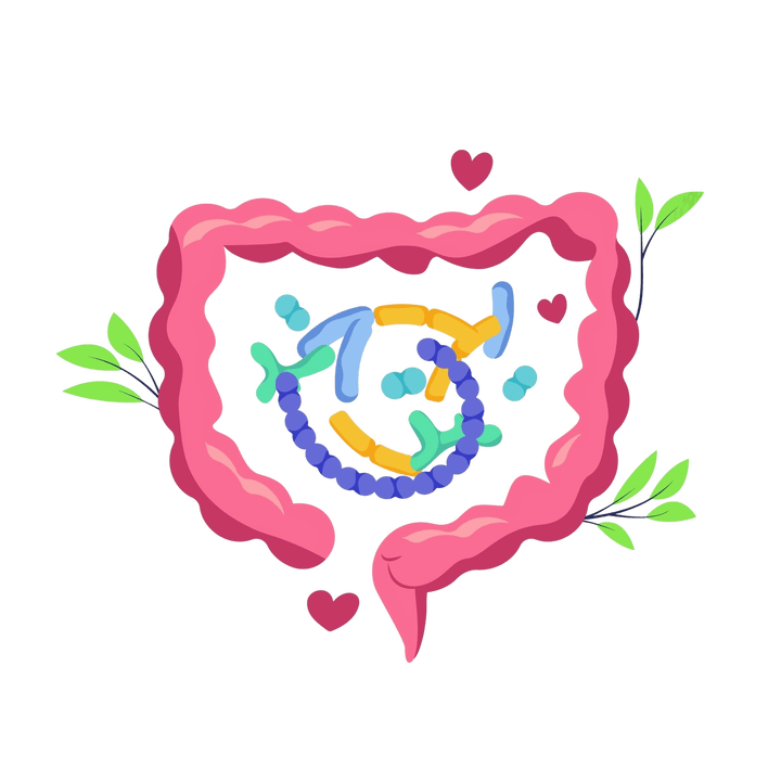 Zdrava probava i bez parazita