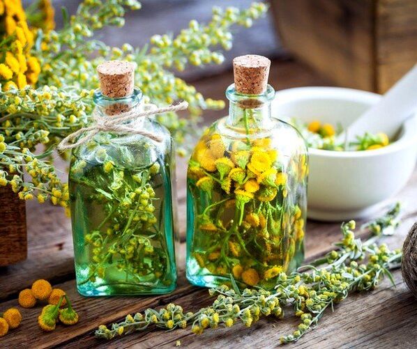 tansy tinktura za uklanjanje crva